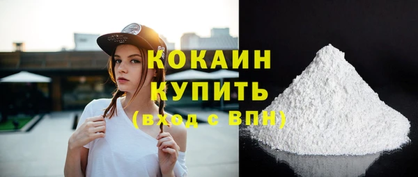 крисы Белокуриха