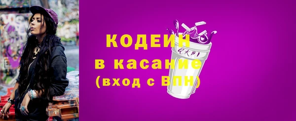 шишки Белоозёрский
