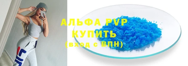 шишки Белоозёрский