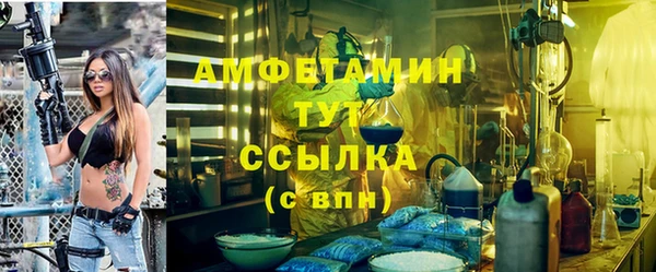 шишки Белоозёрский