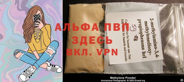 крисы Белокуриха