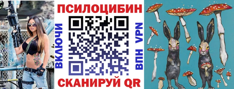 Псилоцибиновые грибы мицелий блэк спрут маркетплейс Гулькевичи